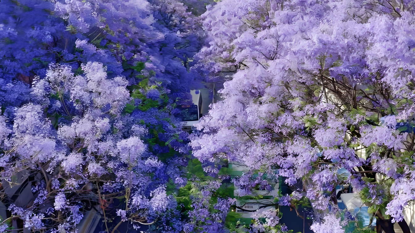 图片 6