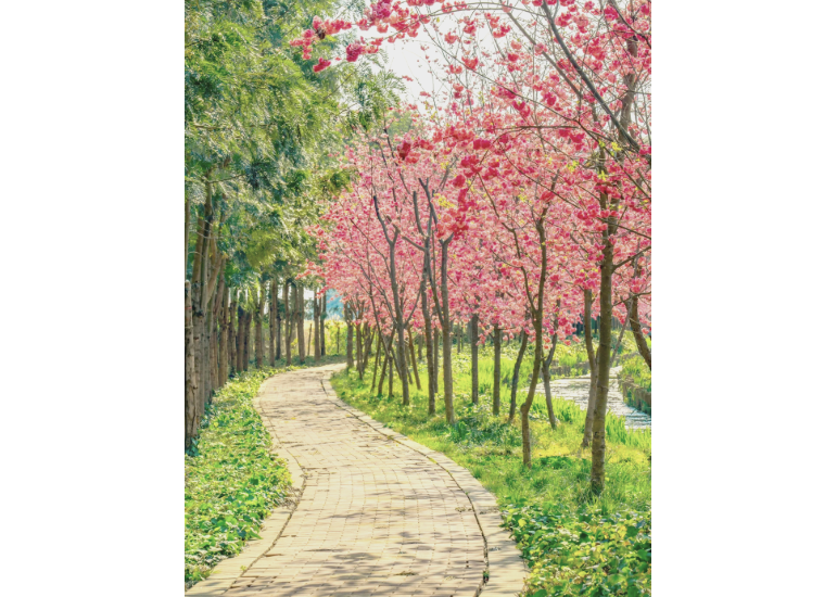 图片 4