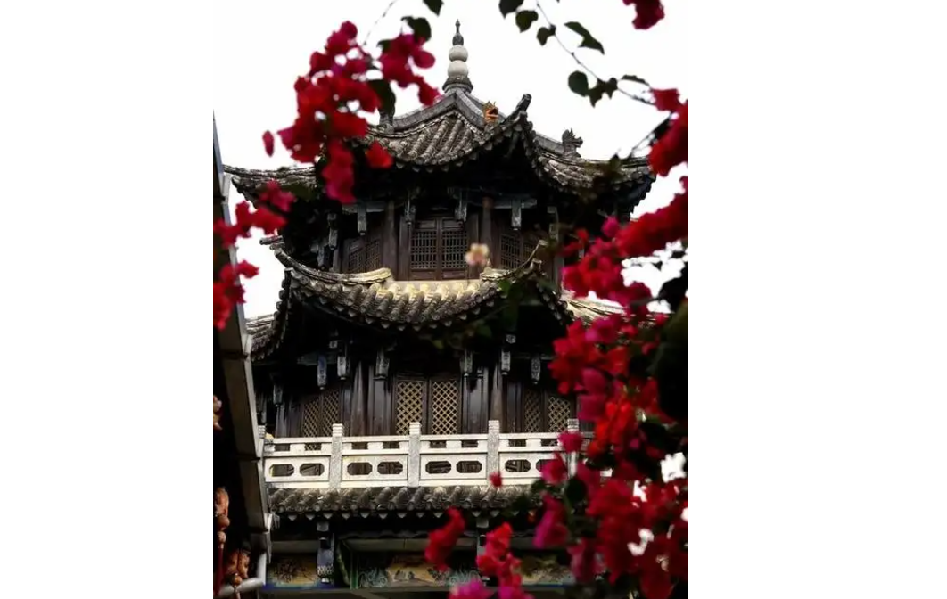 图片 6