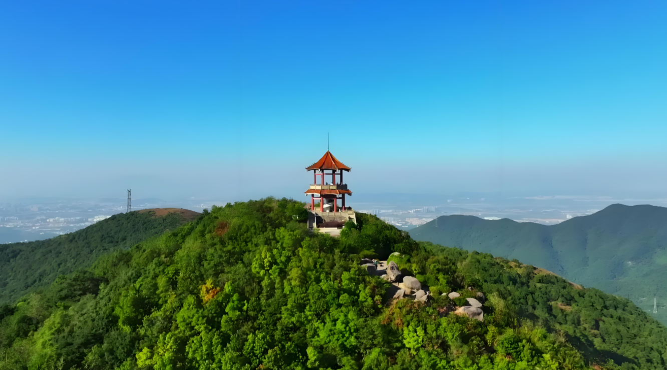图片 5